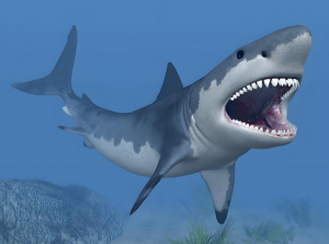 噬人鯊 噬人鯊