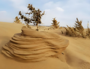 庫布齊沙漠 庫布齊沙漠