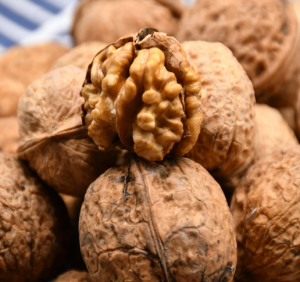 貴州山核桃 貴州山核桃