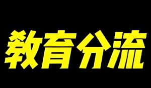 教育分流 教育分流