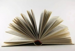 教育先行論 教育先行論