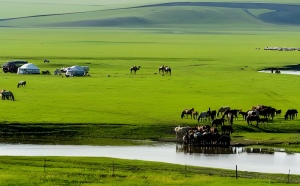 呼倫貝爾草原 呼倫貝爾草原