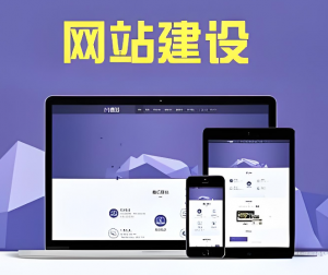 網(wǎng)站建設(shè) 網(wǎng)站建設(shè)