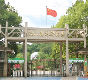 紅山森林動(dòng)物園 紅山森林動(dòng)物園