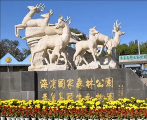 秦皇島野生動物園 秦皇島野生動物園