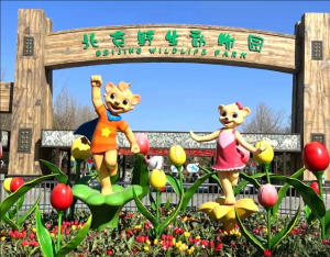北京野生動物園 北京野生動物園