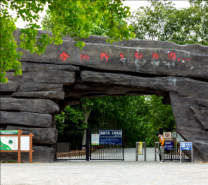 合肥野生動物園 合肥野生動物園