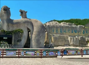 青島森林野生動物園 青島森林野生動物園