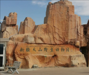 新疆天山野生動物園 新疆天山野生動物園