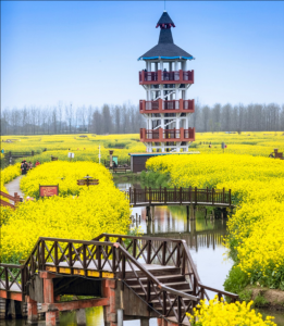 千垛景區(qū) 千垛景區(qū)