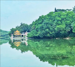 東湖公園 東湖公園