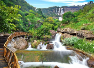 水仙瀑布 水仙瀑布