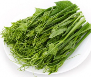 龍須菜 龍須菜