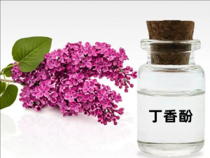 丁香酚 丁香酚