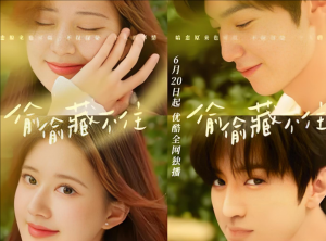 偷偷藏不住 偷偷藏不住