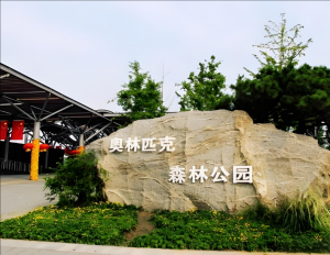 奧林匹克森林公園 奧林匹克森林公園