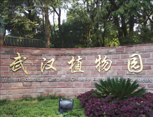 中國科學(xué)院武漢植物園 中國科學(xué)院武漢植物園