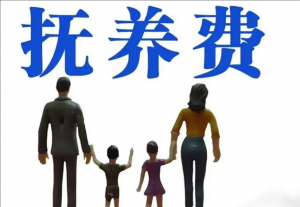 社會(huì)撫養(yǎng)費(fèi) 社會(huì)撫養(yǎng)費(fèi)