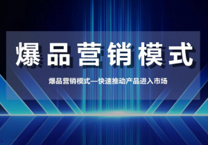 爆品營(yíng)銷模式 爆品營(yíng)銷模式
