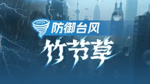 臺(tái)風(fēng)竹節(jié)草 臺(tái)風(fēng)竹節(jié)草