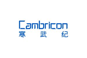 寒武紀(jì) 寒武紀(jì)