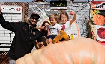 第52屆世界南瓜大賽 第52屆世界南瓜大賽